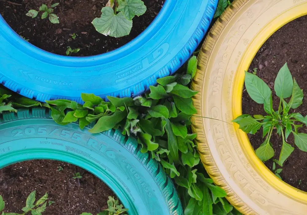 Co zrobić z opon: 7 kreatywnych pomysłów na recykling w ogrodzie
