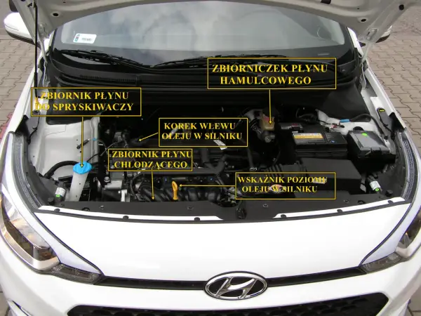 Jakie są kluczowe płyny eksploatacyjne w Hyundai i20? Specyfikacje, wymiana i uzupełnianie